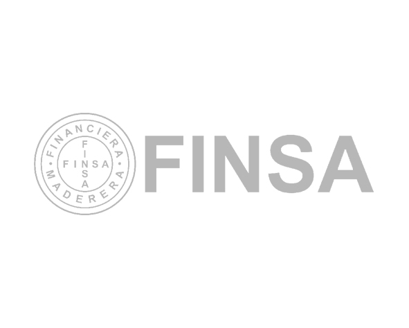 finsa